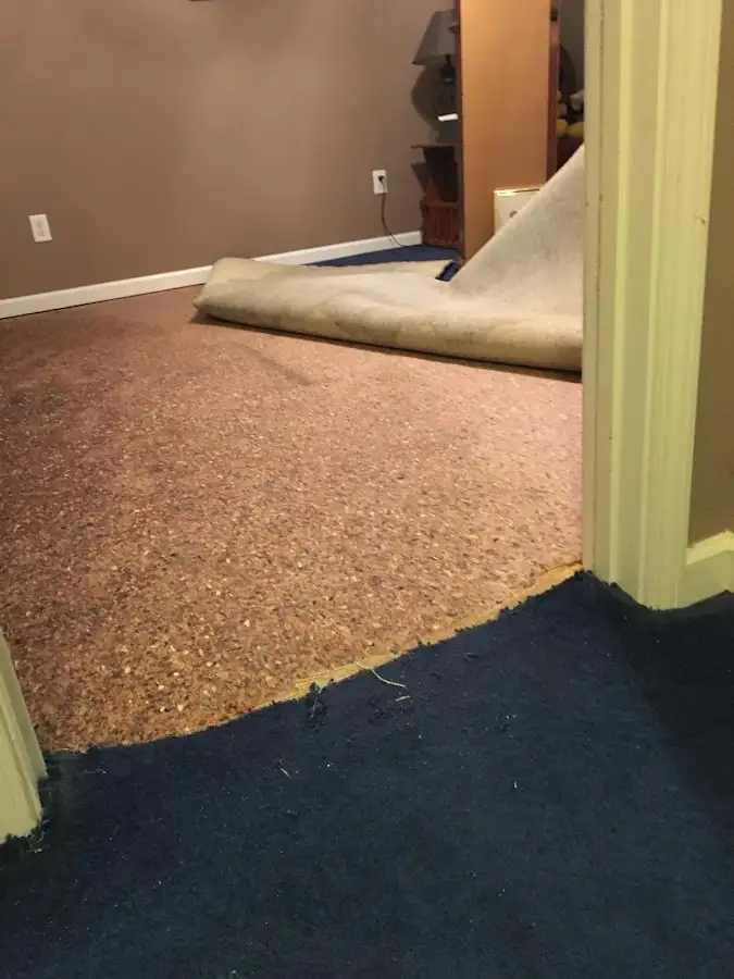 Carpet pad removal revealing water damage during Water Mitigation Services in New Albany
