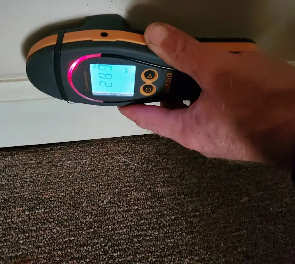 Moisture detection at baseboard during Burst Pipe Cleanup in New Albany